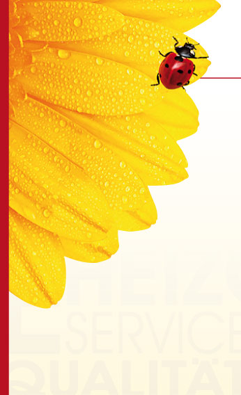Blume mit Käfer Hintergrund Erhardt Brennstoffe