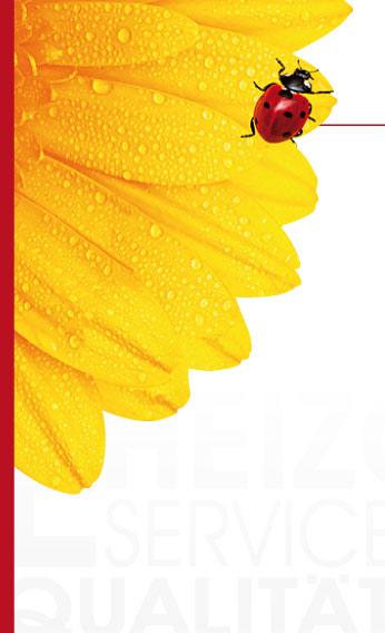Blume mit Käfer Hintergrund Erhardt Brennstoffe
